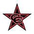 Coppell High School Football logo